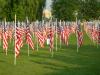 veterans flags