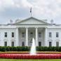 white house