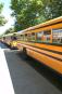 school buses