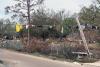 storm debris