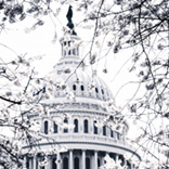 Government